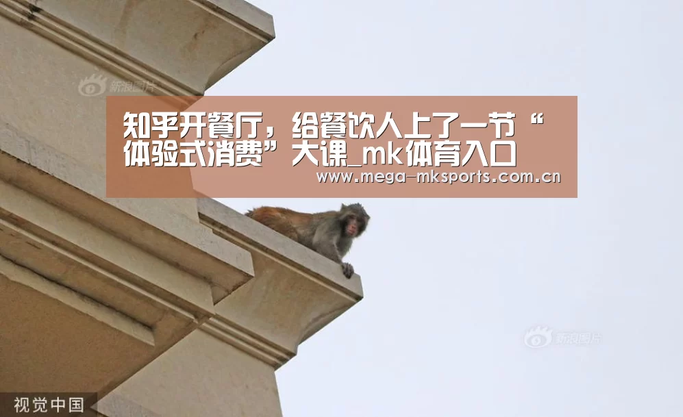 知乎开餐厅,给餐饮人上了一节“体验式消费”大课_mk体育入口(图1) mk sports