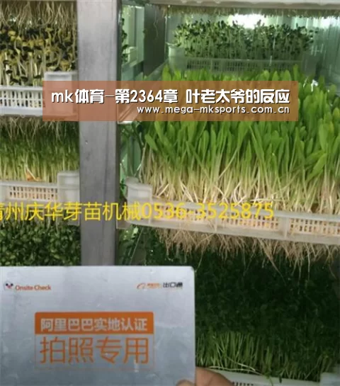 mk体育-第2364章 叶老太爷的反应(图1) mk体育入口
